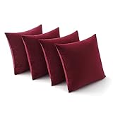 MIULEE Funda de Cojines de Terciopelo 4 Piezas Funda de Almohada Cojin Sofa con Cremallera Invisible Moderna Decorativo para Silla Cama Sala de...