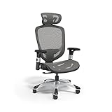 Flexfit Hyken Mesh - Silla de trabajo, color gris carbón (Un59464)