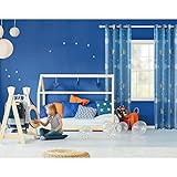 Topfinel Cortinas Estampado Translúcidas Visillos Infantiles Paneles para Ventanas Niño Habitacion Dormitorio Gasa con Azul Planeta,140x245cm 2...