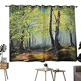 Zmcongz - Cortinas de Dormitorio con 2 Paneles de Paisaje de Primavera en Bosque con Hojas Que Caen y Varios árboles, diseño de Estampado de...